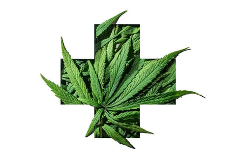 usage médical du cannabis